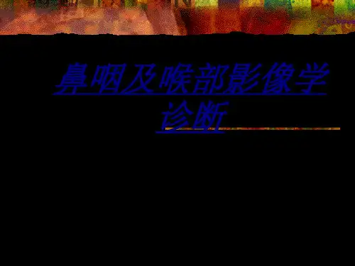 鼻咽及喉部影像学诊断讲义