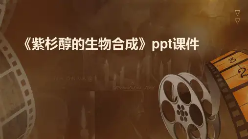《紫杉醇的生物合成》课件