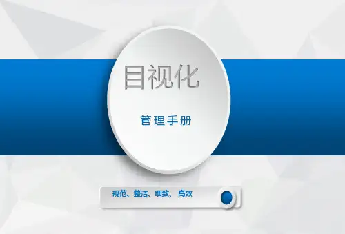 公司目视化管理手册