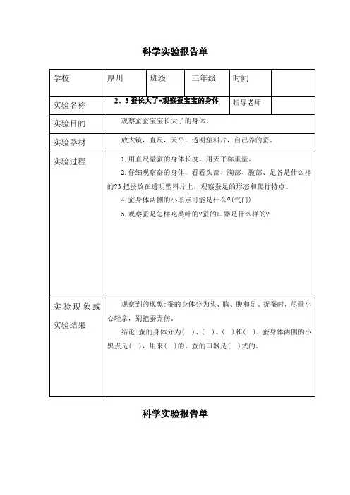 三年级下册科学2、3蚕长大了-观察蚕宝宝的身体-实验报告单(教科版)