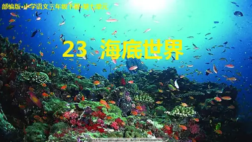 部编版三年级语文下册23.《海底世界》课件(共23张PPT)