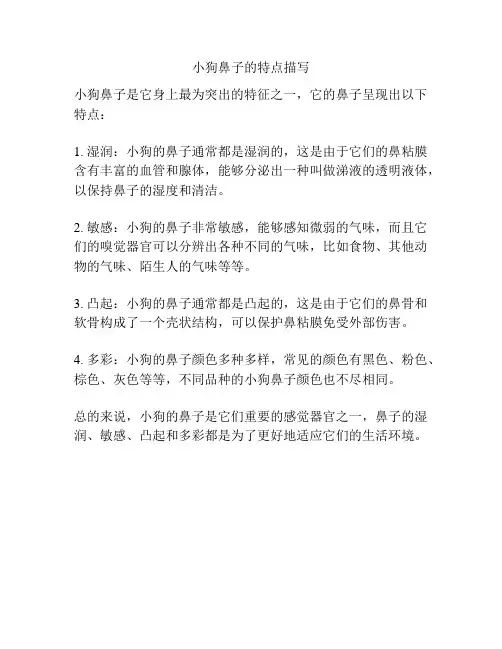 小狗鼻子的特点描写