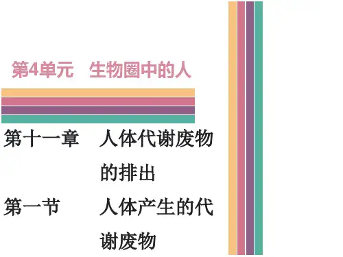 北师大版七年级下册生物第十一章人体代谢废物的排出第一节人体产生的代谢废物导学课件