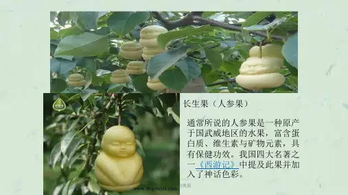 我的长生果完美版课件