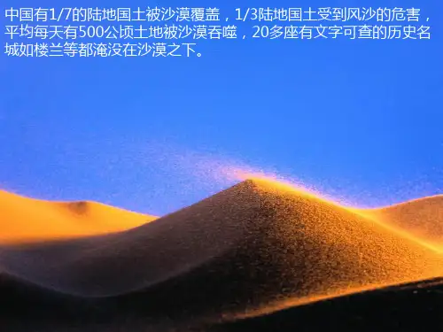 高三地理必修2课时复习课件 中国的可持续发展实践