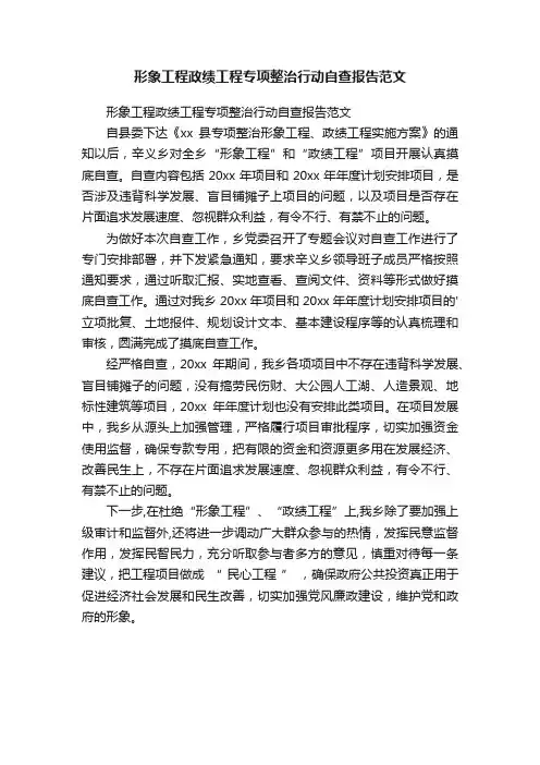 形象工程政绩工程专项整治行动自查报告范文
