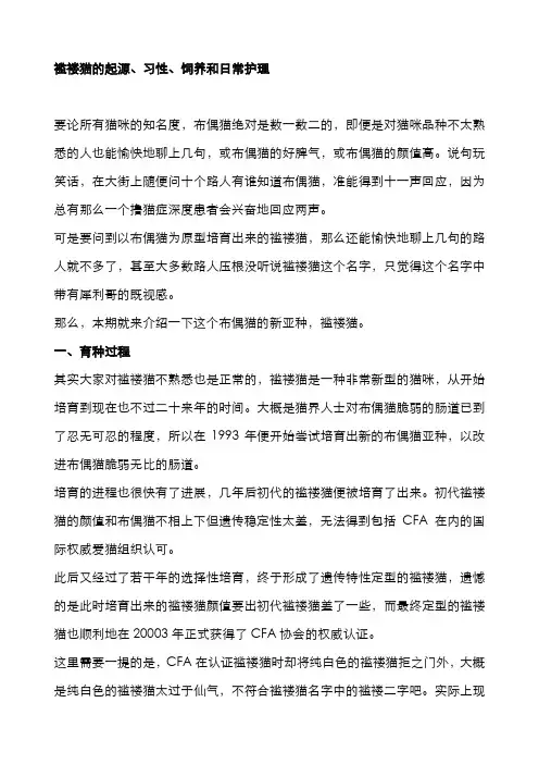 褴褛猫的起源、习性、饲养和日常护理