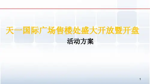 售楼处盛大开放暨开盘活动方案精品PPT课件