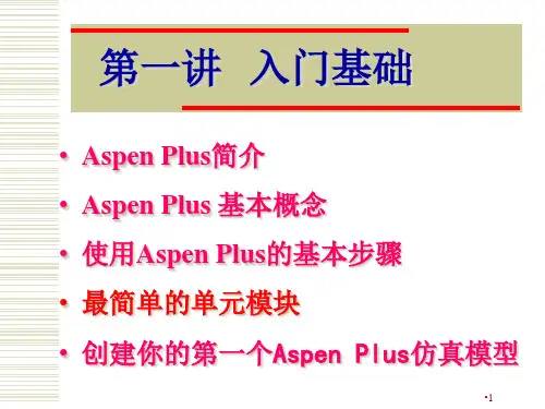 AspenplusASPENPlus使用入门-文档资料