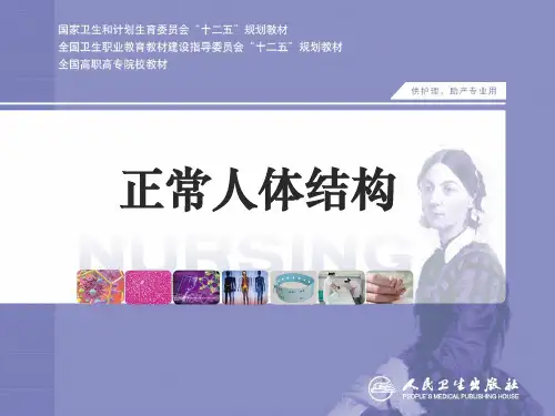 第十二章女性生殖系统