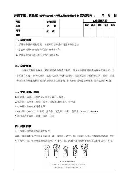 重庆大学微生物实验报告