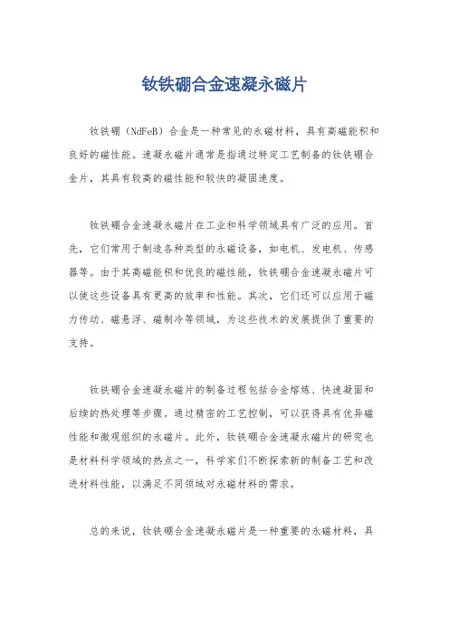 钕铁硼合金速凝永磁片