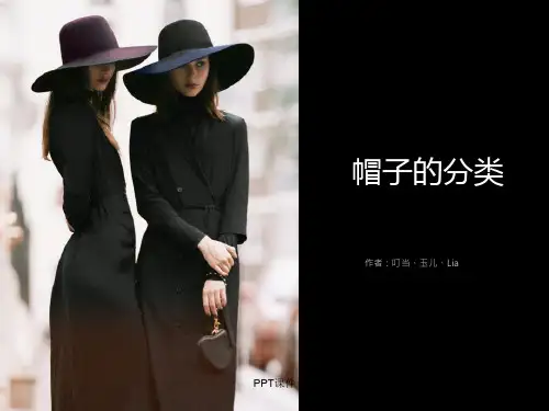 帽子的分类  ppt课件