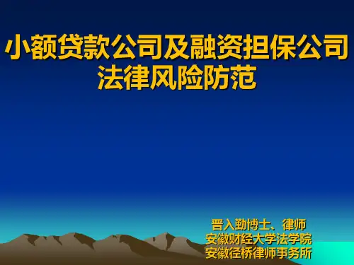 小额贷款公司及融资担保公司法律风险防范-PPT文档资料