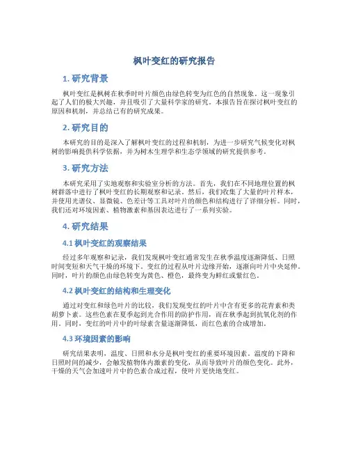 枫叶变红的研究报告