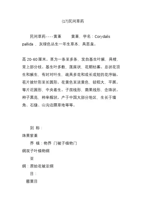 (17)民间草药