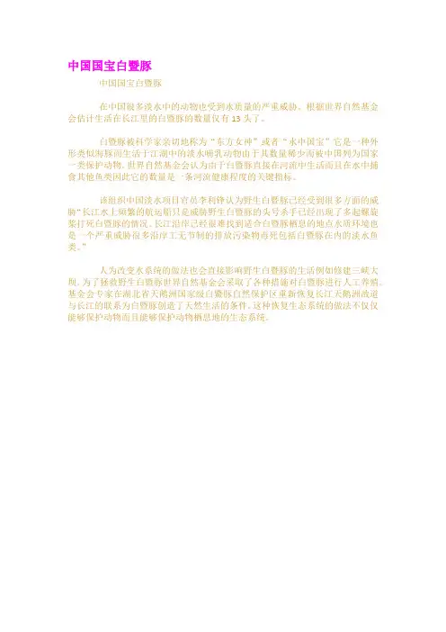 中国国宝白暨豚