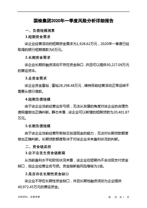 国检集团2020年一季度财务风险分析详细报告