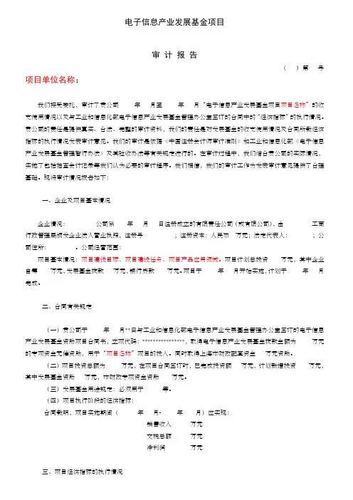 基金项目验收审计报告模板
