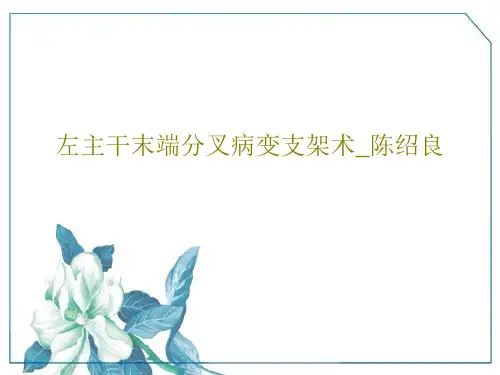 左主干末端分叉病变支架术_陈绍良45页PPT