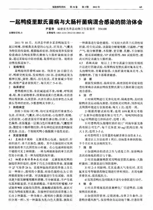 一起鸭疫里默氏菌病与大肠杆菌病混合感染的防治体会