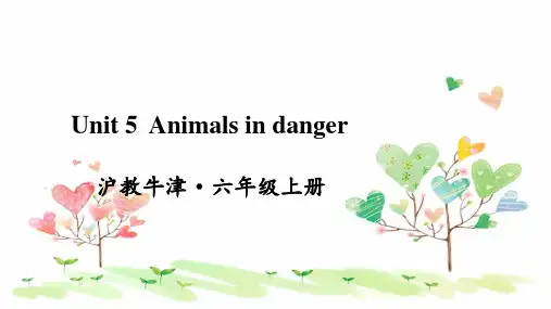 2023年沪教牛津版六年级英语上册Unit 5 Animals in danger