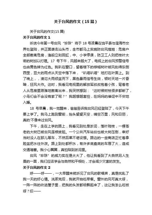 关于台风的作文（15篇）