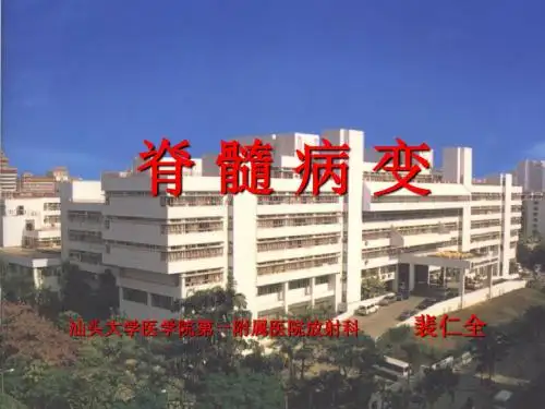 脊髓病变 PPT课件