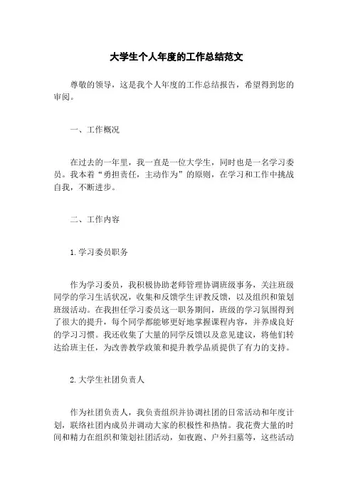 大学生个人年度的工作总结范文