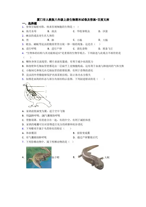 厦门市人教版八年级上册生物期末试卷及答案-百度文库