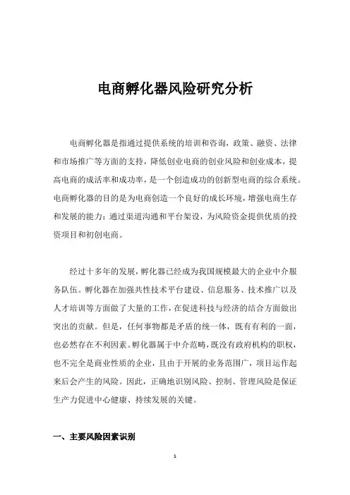 电商孵化器风险研究分析