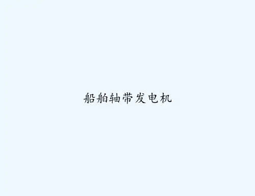 船舶轴带发电机 PPT