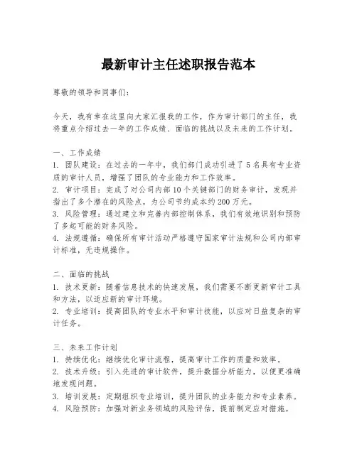 最新审计主任述职报告范本