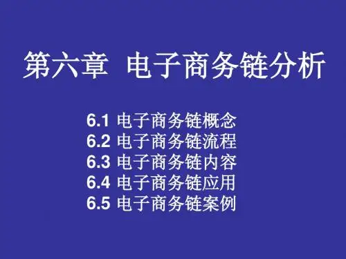 《电子商务》教学课件-第六章-EC链分析2010—02—20