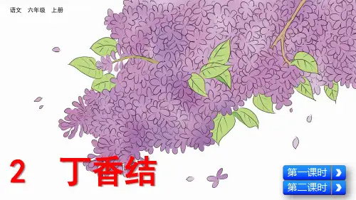 统编版语文六年级上册第2课《丁香结》精品课件