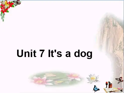 小学三年级英语上册Unit7it’sadog 2湘少版最新优选公开课件
