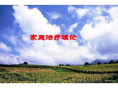 家庭治疗经典理论 家庭心理治疗课件