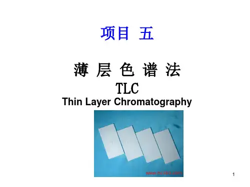 《项目五TLC技术》PPT课件