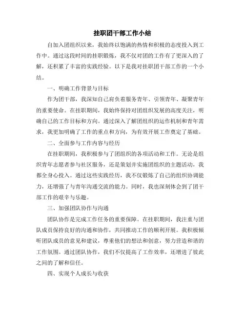 挂职团干部工作小结