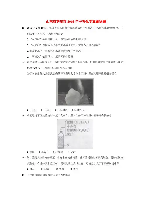 【2019年中考真题模拟】山东省枣庄市2019年中考化学真题试题(含答案)