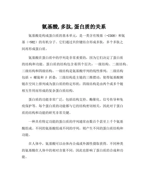 氨基酸,多肽,蛋白质的关系