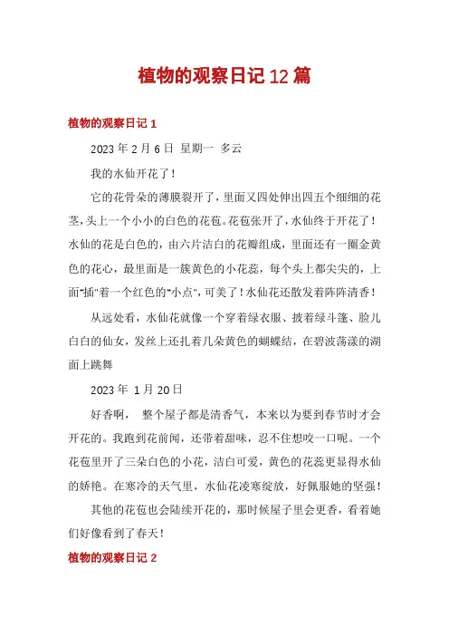 植物的观察日记12篇