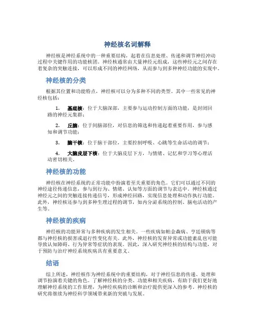 神经核名词解释
