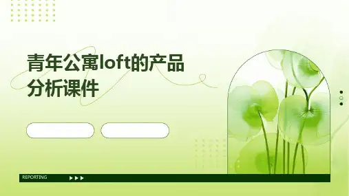 青年公寓LOFT的产品分析课件
