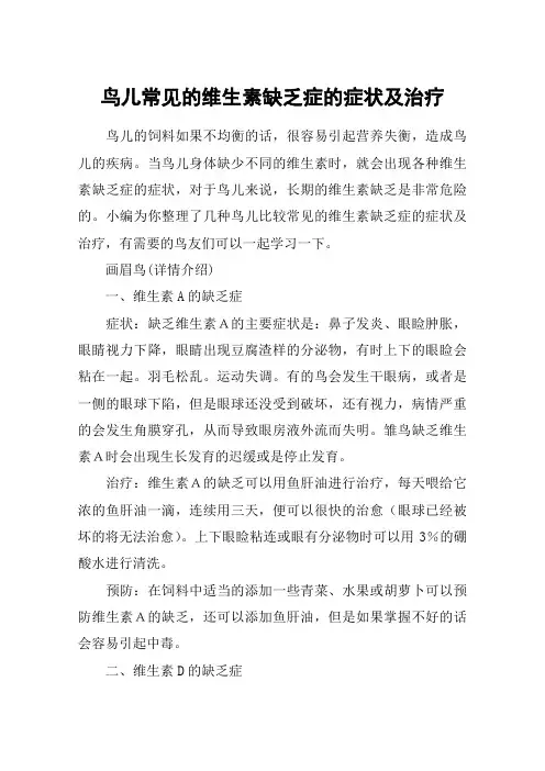 鸟儿常见的维生素缺乏症的症状及治疗