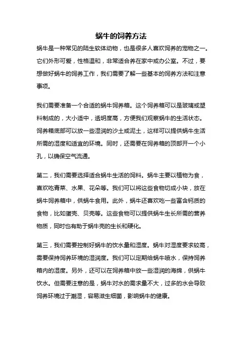 蜗牛的饲养方法