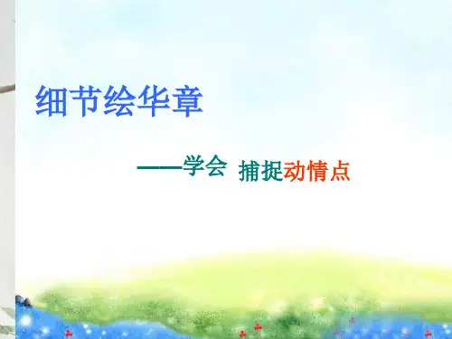 作文-初中作文指导：细节绘华章——学会捕捉动情点ppt优秀PPT