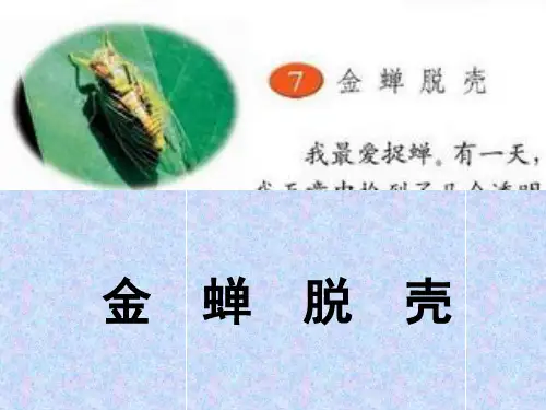 《金蝉脱壳》课件