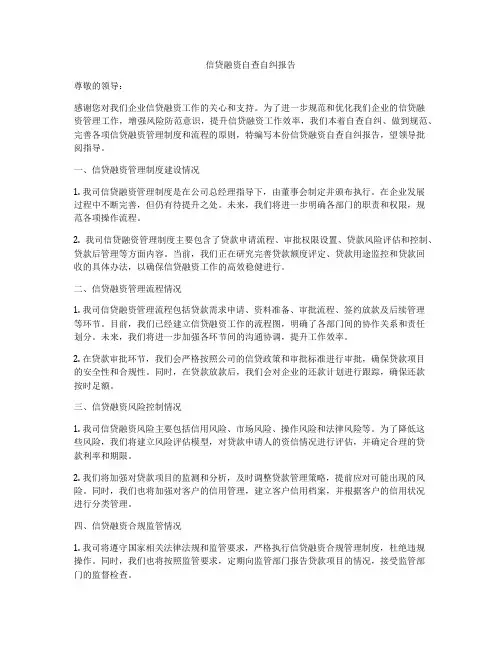 信贷融资自查自纠报告