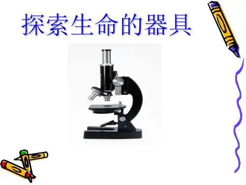 七年级生物《探索生命的器具》PPT 课件